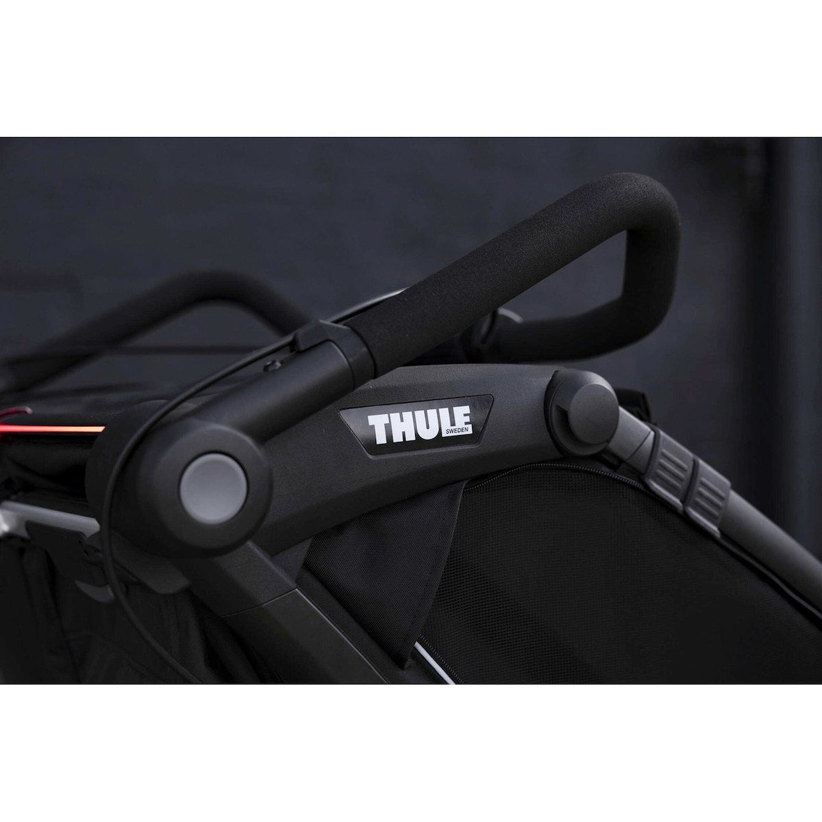 Sykkeltilhenger Chariot Sport 2 Single 2024 fra 9 mnd - Thule