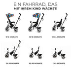 Trehjulssykkel ASTON fra 9 mnd til 5 år, maks 25 kg - Kinderkraft
