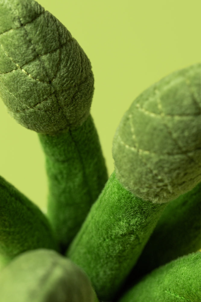 Nærbilde av Amuseables Asparagus kosedyr asparges tekstur