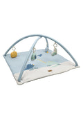 Babygym med lekematte Dino Rexi 80x80 cm front