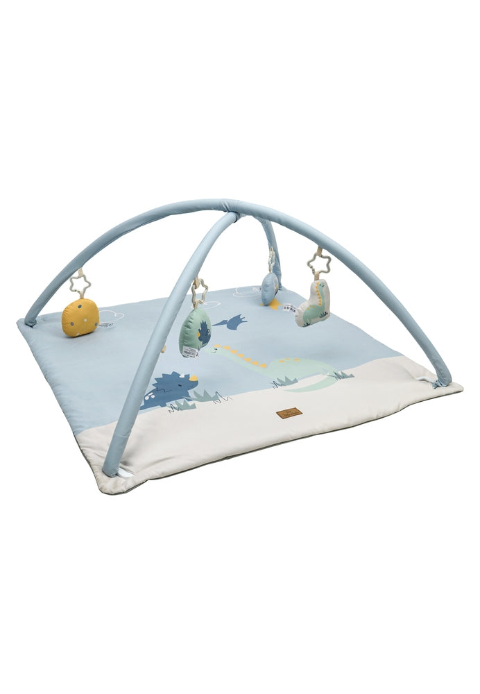 Babygym med lekematte Dino Rexi 80x80 cm front
