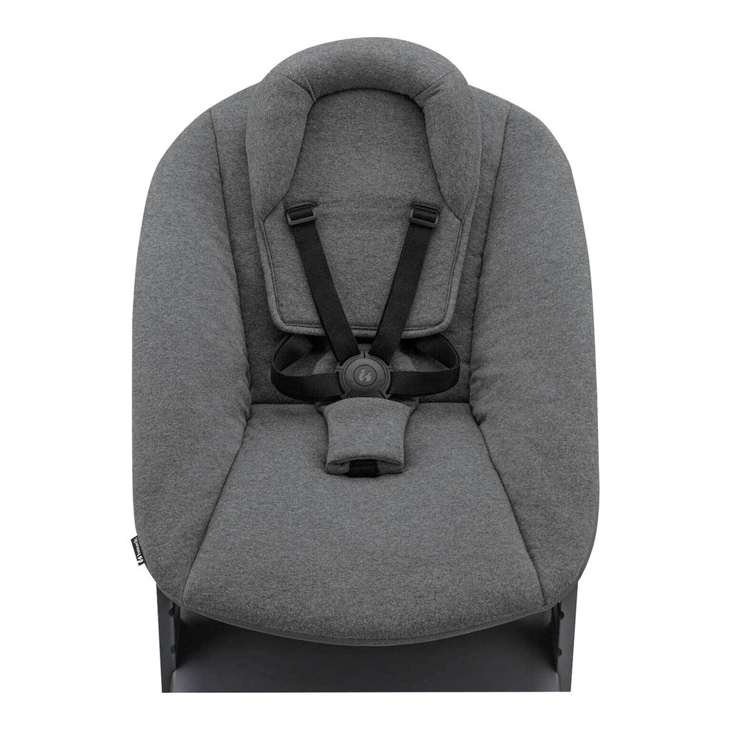 Barnestol Alpha+ med newborn-sett i bøk bakside