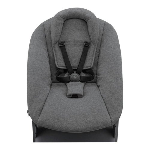 Barnestol Alpha+ med newborn-sett i bøk bakside