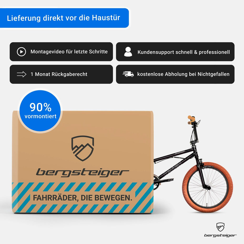 BMX-sykkel Halifax 20 tommer med Hi-Ten stålramme - Bergsteiger