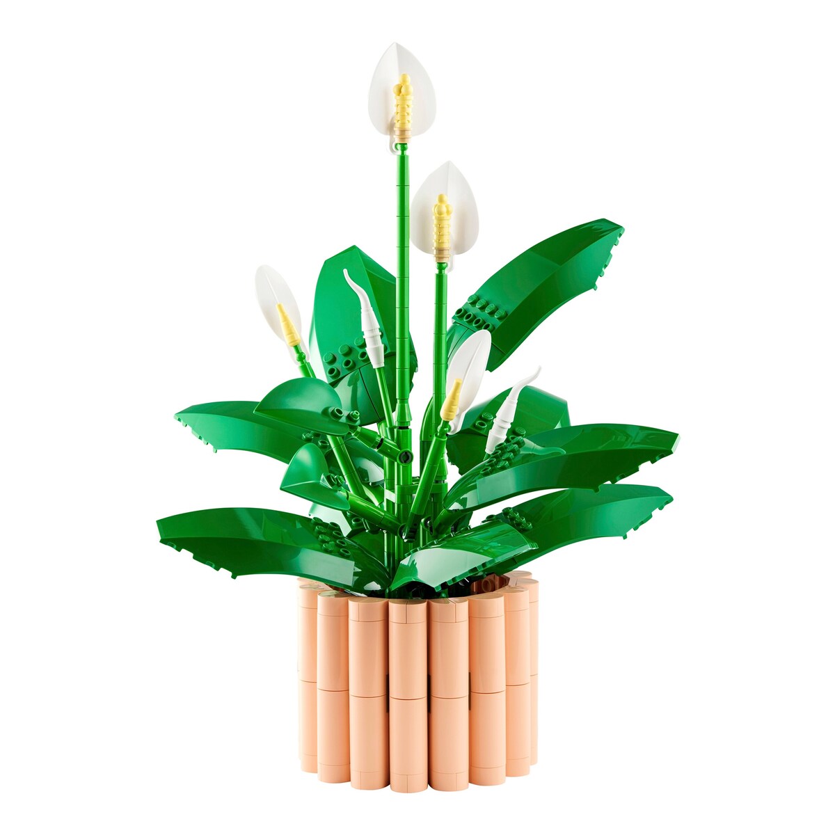 Botanicals fredslilje 11504 bakside