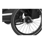 Sykkeltilhenger Chariot Sport 2 Double 2024 fra 9 mnd - Thule