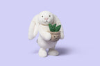 Nærbilde av Cream Bunny med plante kosedyr