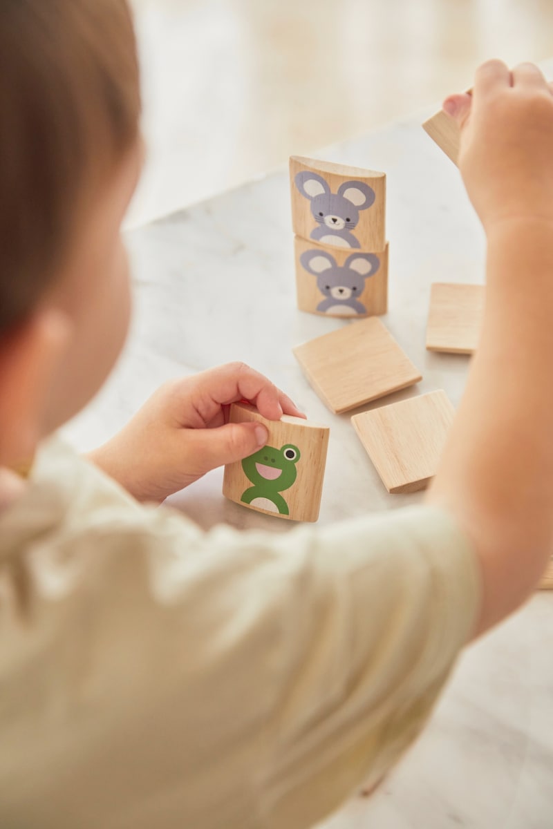 Dyrememo i gummitre 9 x 22,5 cm - PlanToys oversikt
