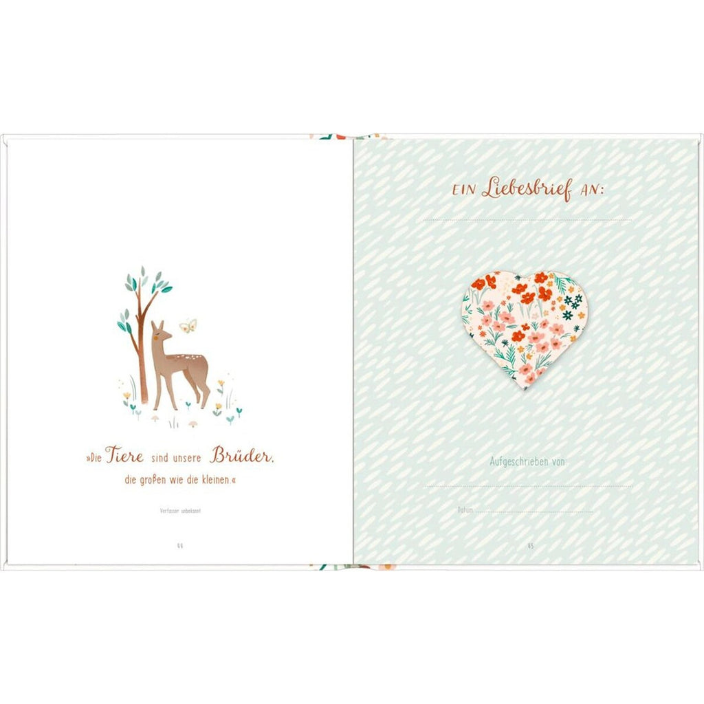 Detalj av pop-up brev i Fotoinnføringsalbum for familien med hardcover