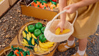 Frukt- og grønnsakssett i gummitre 6 deler - PlanToys