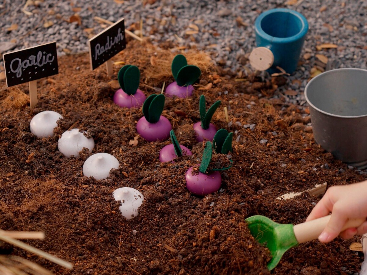 Frukt- og grønnsakssett i gummitre 6 deler - PlanToys