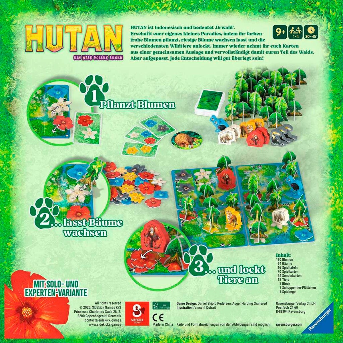 Hutan brettspill bakside med spillkomponenter