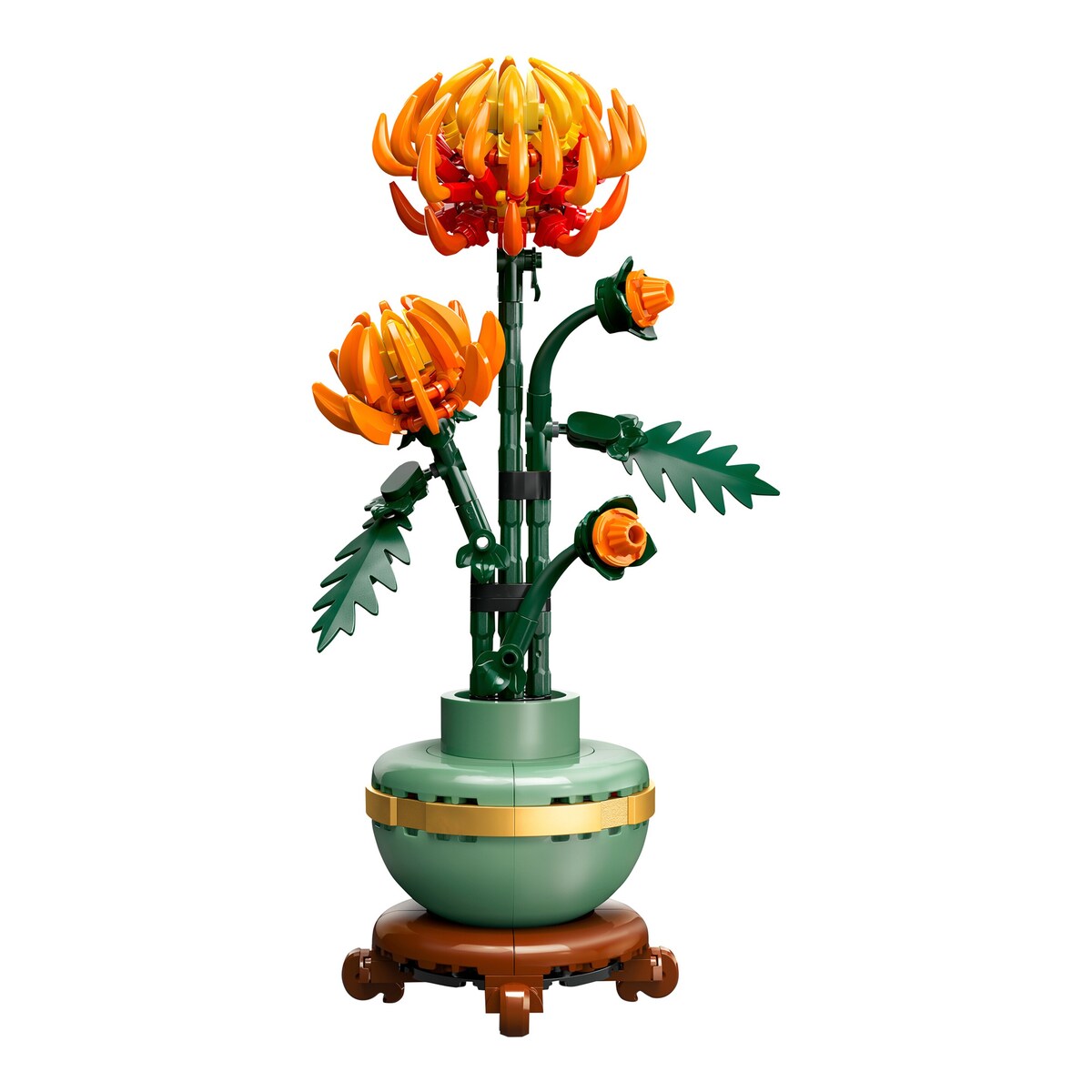 Bakside av Icons krysantemum blomsterbyggesett 10368