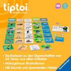 Lærespill dyr i verden terning og spillkomponenter