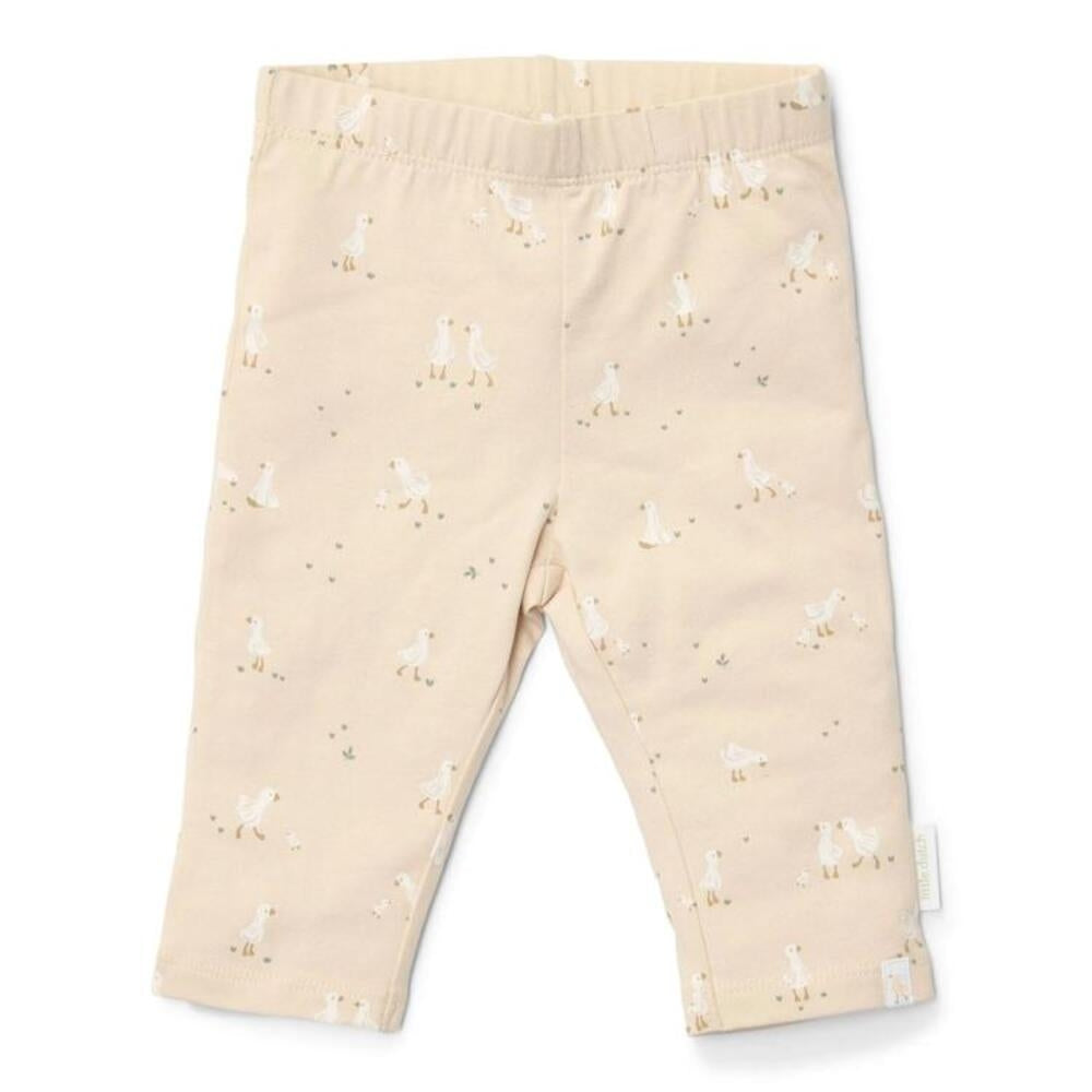 Leggings Little Goose økologisk bomull str. 74 - Little Dutch forfra
