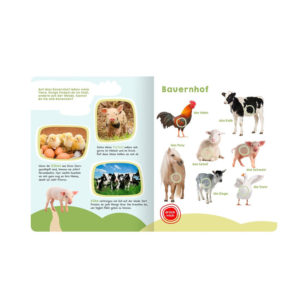 Lydbok med 50 dyrelyder, hardcover, bakside