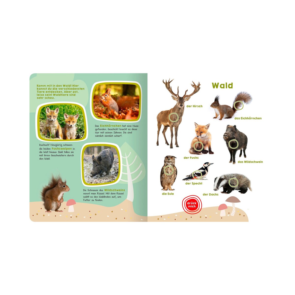 Detalj av lydbok med 50 dyrelyder, hardcover
