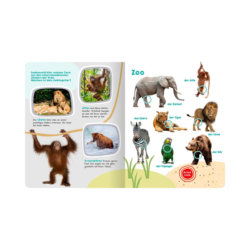 Montert lydbok med 50 dyrelyder, hardcover