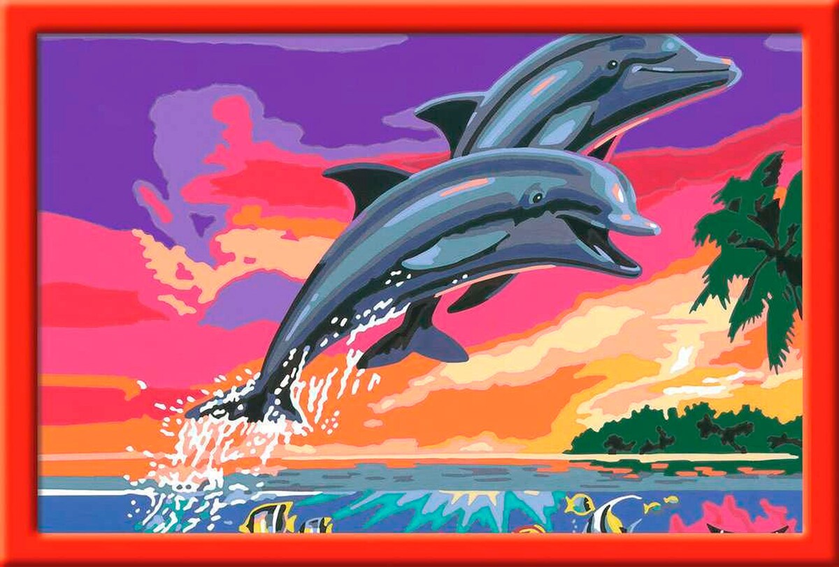 Mal etter tall delfinenes verden 31 x 21 cm forfra