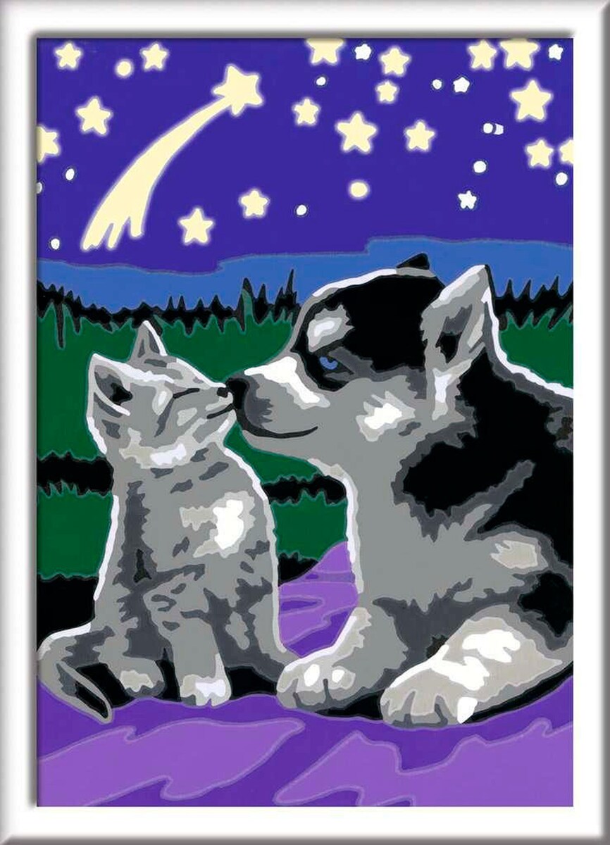 Mal etter tall hund og katt med lysfarge 13 x 18 cm forside