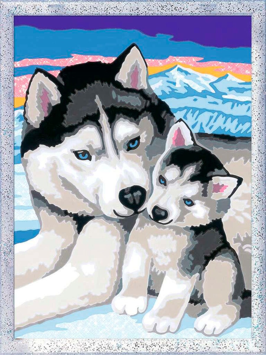 Mal etter tall Husky-kyss 18x24 cm forfra