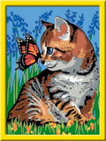 Mal etter tall katt med sommerfugl 18x24 cm foran