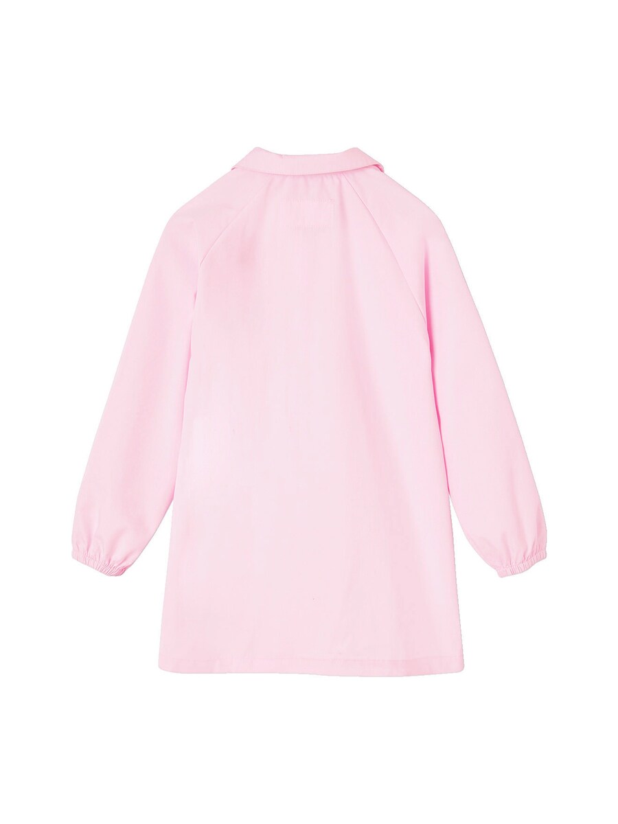 Bakside av maleforkle for jenter Disney Frost, poplin med langermet design