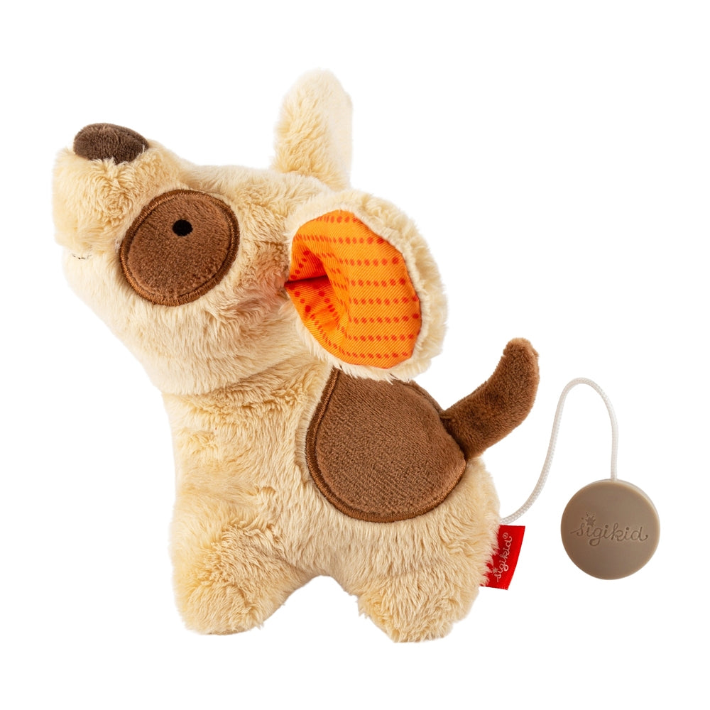 Mini spilledåse hund bakside Sigikid