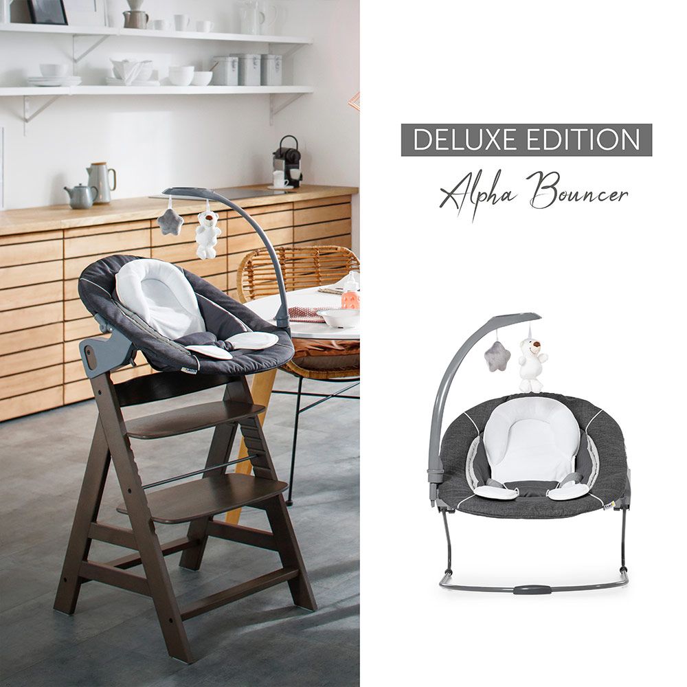 Nyfødtinnsats & vippestol til Alpha barnestol 2in1 Deluxe bakside