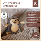 Pinnsvin kosedyr med rangle bakside