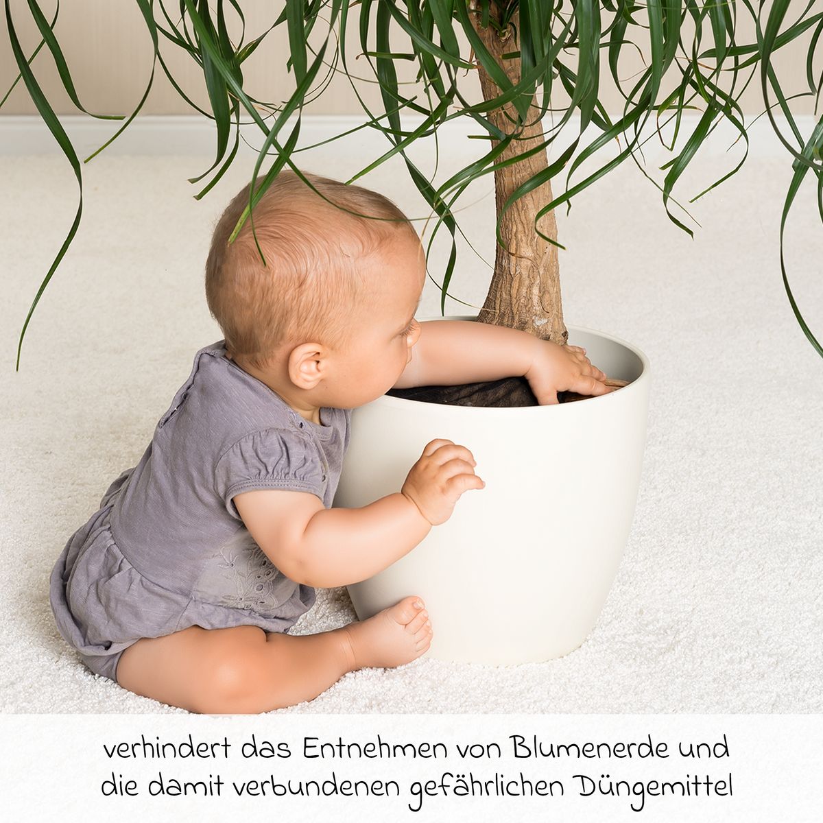 Baksiden av Plantebeskyttelsesnett 3-pack for potter opptil 30 cm fra Reer