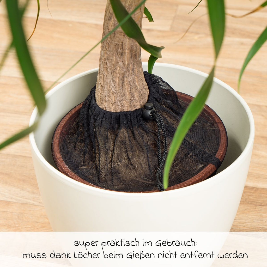Plantebeskyttelsesnett 3-pack montert på potte opptil 30 cm fra Reer