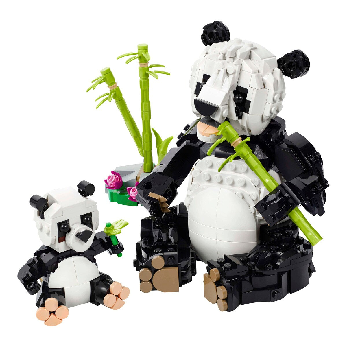 Bakside av Ville dyr pandafamilie 31165 3-i-1 LEGO Creator